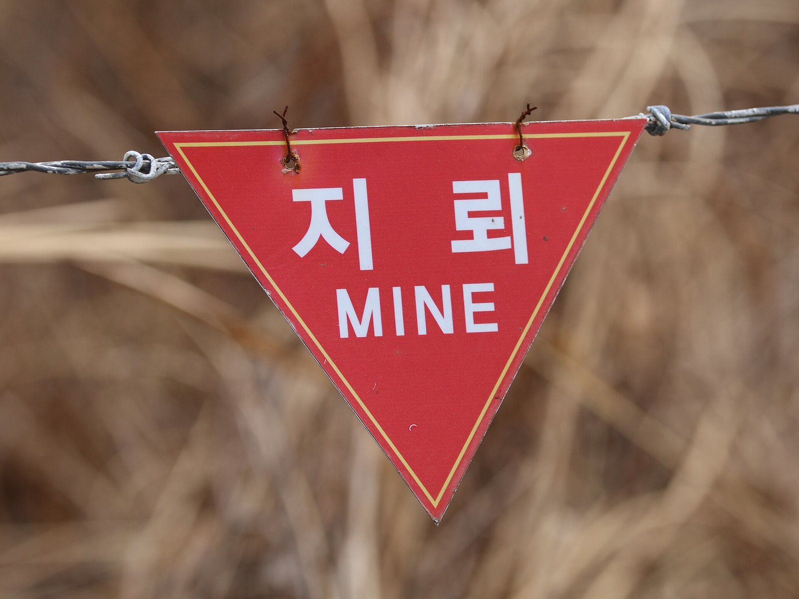 Placa triangular vermelha com a palavra MINE e caracteres coreanos, presa a arame.