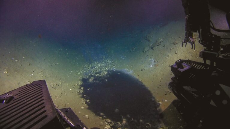 Poça mortal: o que é o lago de salmoura achado no fundo do Golfo do México?