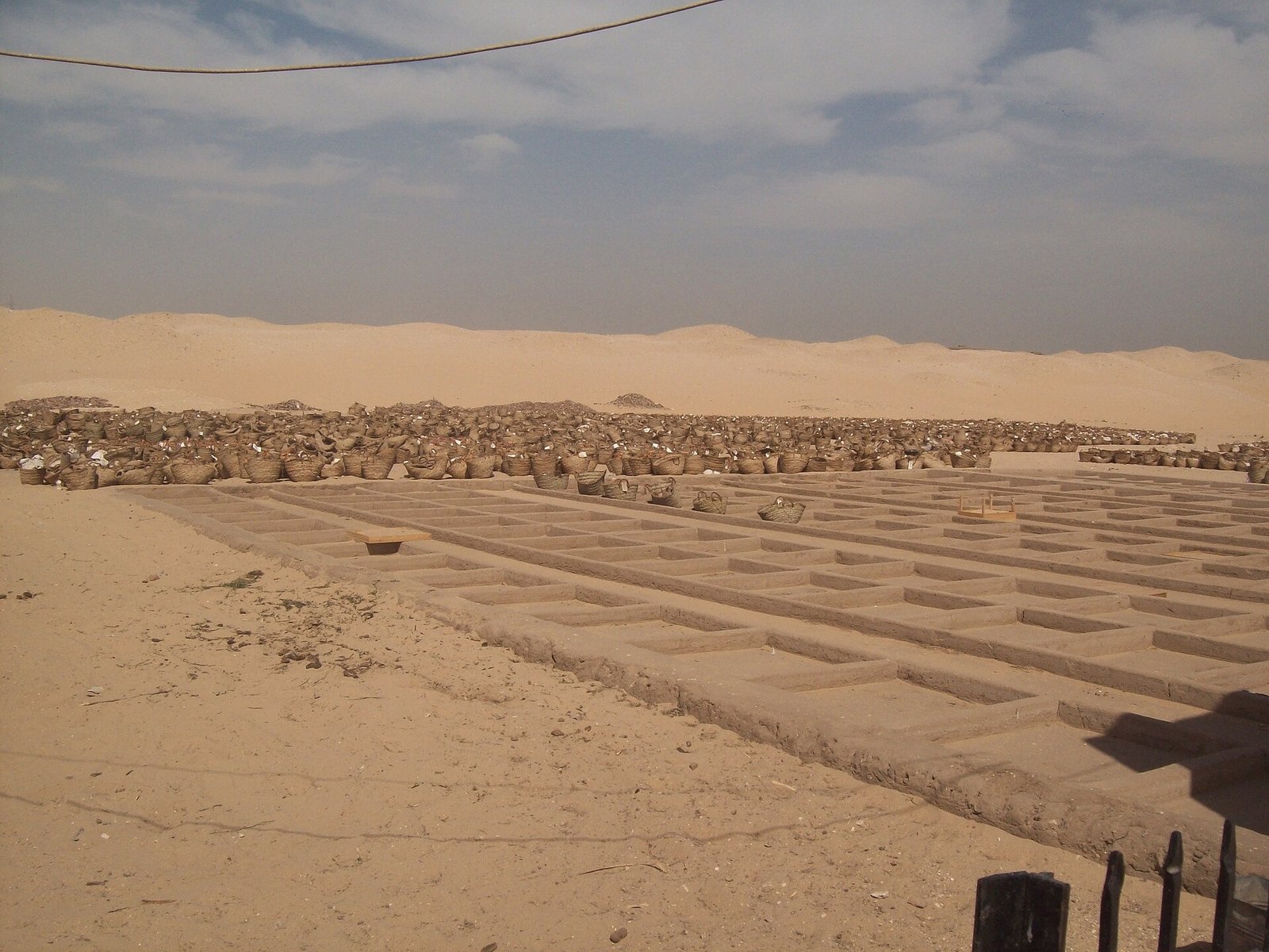 Área de escavação em Abydos com divisórias baixas de tijolos e muitas cestas contendo fragmentos de cerâmica, diante do deserto.