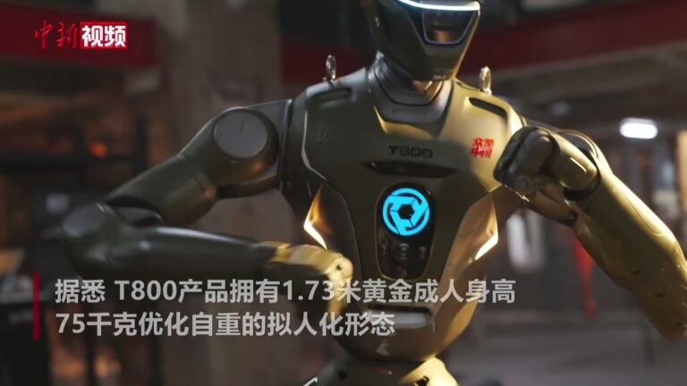 T800: o robô chinês que mostra kung fu e teve venda anunciada